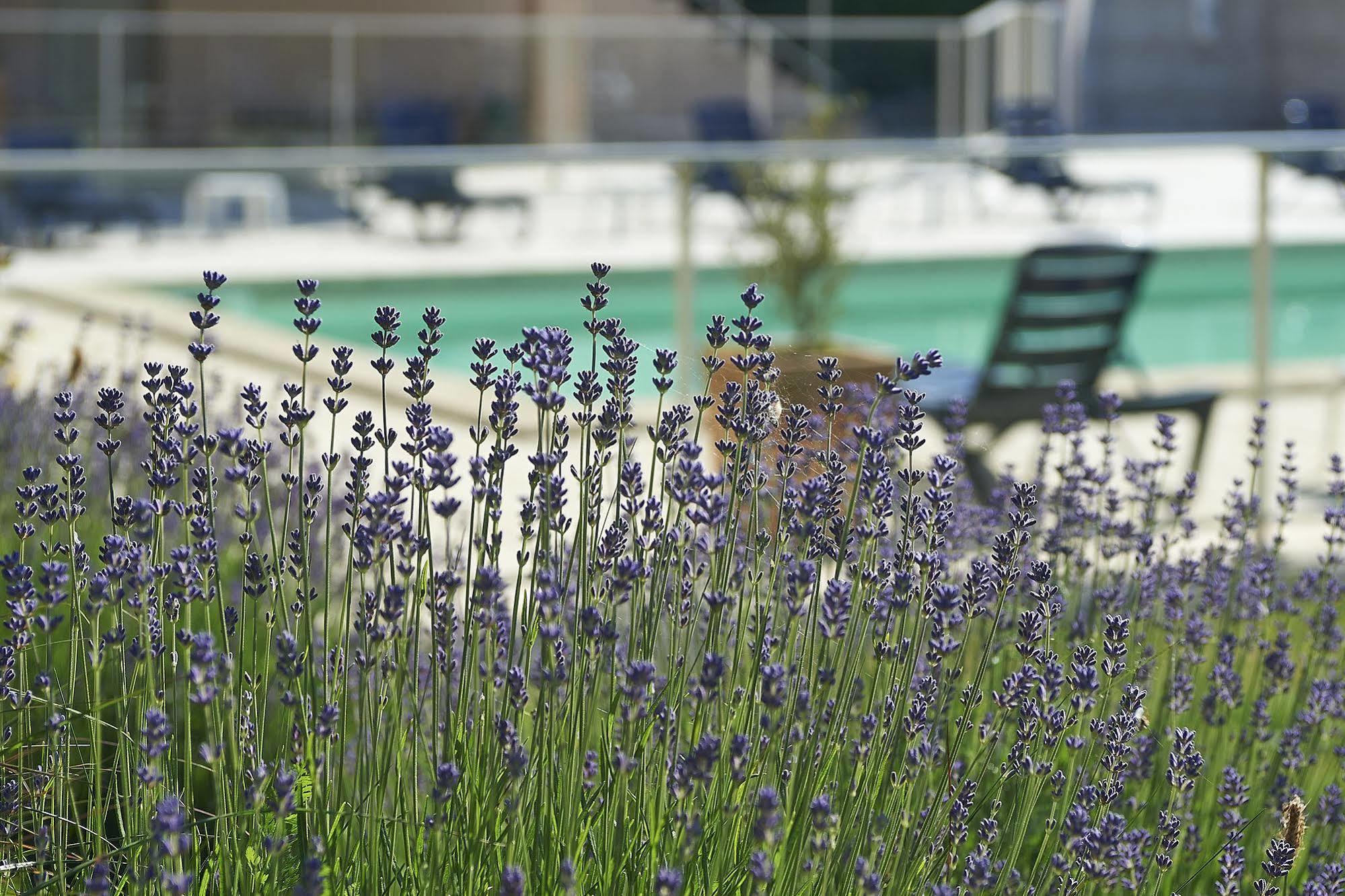 Cit'Hotel Les Alizes Limoges Ngoại thất bức ảnh